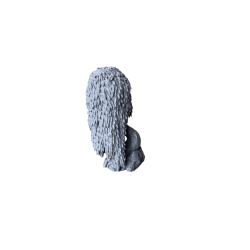 Drzewo, wierzba płacząca