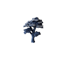 Drzewo, wysokie liściaste