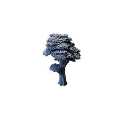 Drzewo, wysokie liściaste