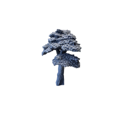 Drzewo, wysokie liściaste