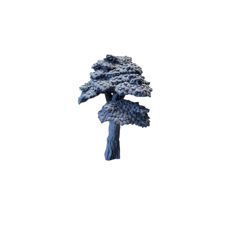 Drzewo, wysokie liściaste