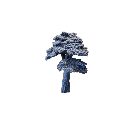 Drzewo, wysokie liściaste