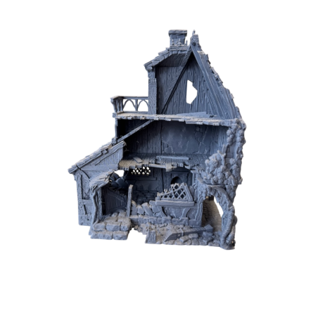 Zniszczony dom uzdrowiciela